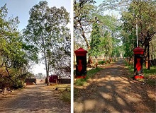 Back gate of Vaikunth Mehta Institute (from the morning walks)