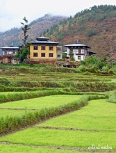 Rural Life in Bhutan - 1
