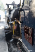 Steam locomotive 805 at DHR loco shed, Darjeeling