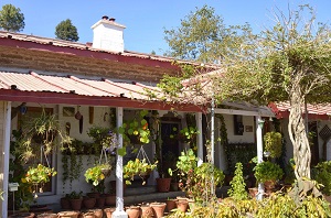 Somerset Lodge, Sarga Khet, Mukteshwar