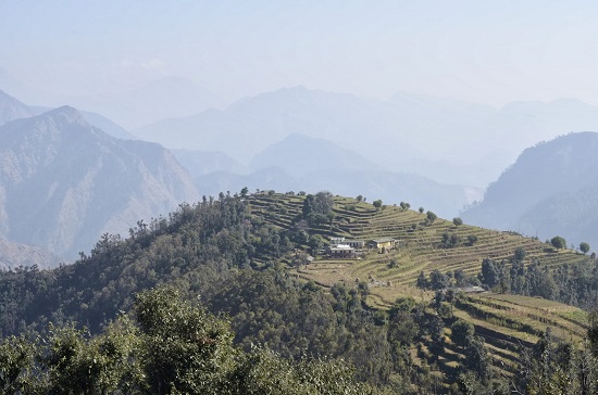 Camp Shama, Kumaon, Uttarakhand