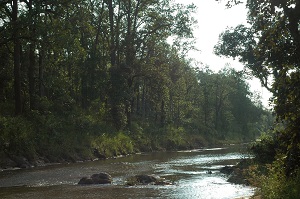 River at Kanha National Park