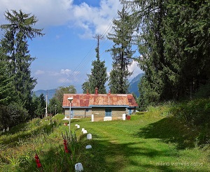Old Forest Rest House at Sojha